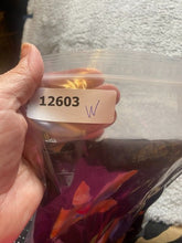 Load image into Gallery viewer, Katharina Marie Shirt Womens Large Long Sleeve Tunic Blouse Paint Art Flower