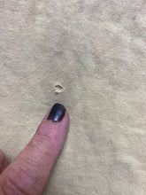 Load image into Gallery viewer, VTG Royal Caribbean International Shirt Adult Extra Large Yellow Cruise Ship Men