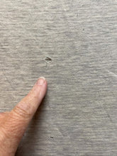 Load image into Gallery viewer, VTG St. Lucia Shirt Adult Extra Large Gray Dance Art Movement Thrashed 80s Mens