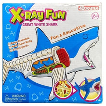 Load image into Gallery viewer, 4D Master Great White Shark Model Anatomy 21 Piece Educational STEM Toy