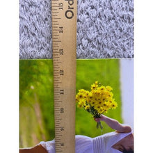 Load image into Gallery viewer, Spread Sunshine Metal Sign Funny Sarcastic Wall Decor Art Tin 13x16"