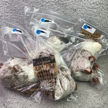 Load image into Gallery viewer, Beaver Dog Toy Metropawlin Pet 8 Inch Crinkle Corduroy Tail Plush Squeaker