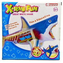 Load image into Gallery viewer, 4D Master Great White Shark Model Anatomy 21 Piece Educational STEM Toy