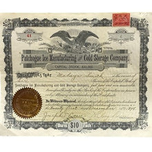Load image into Gallery viewer, Antique 1898 Stock Certificate Patchogue Ice Manufacturing Cold Storage Company