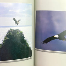 Load image into Gallery viewer, 1988 The American Eagle Hardcover Book 1st Edition HC Tom Pat Leeson Photography