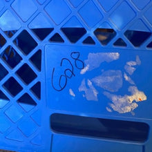 Load image into Gallery viewer, Happy Cooking Play Set Pretend Food Cutting Fruit Vegetable Kitchen Toy Kids 3+