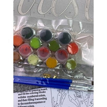 Load image into Gallery viewer, Merry Christmas Paint By Numbers Kit Holiday Ornaments Poinsettias Festive Art