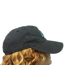 Load image into Gallery viewer, Carolina Panthers Hat Adult Adjustable Embroidered NFL Football Logo