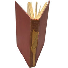 Load image into Gallery viewer, France Hardcover Book Madame Guizot De Witt Vol VII Illustrated