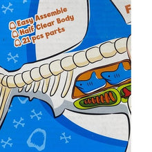 Load image into Gallery viewer, 4D Master Great White Shark Model Anatomy 21 Piece Educational STEM Toy