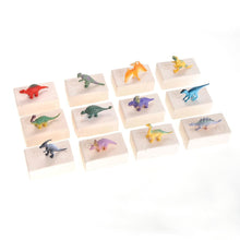 Load image into Gallery viewer, Dinosaur Skeleton Fossil Excavation Kit (Pack Of 12 Variety)