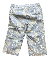 Load image into Gallery viewer, Villager by Liz Claiborne Pants Women 16 (37x18) Light Blue Stretch Capri Hippie