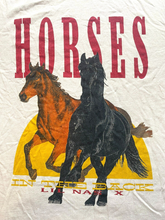 Load image into Gallery viewer, Lil Nas X Old Town Road Shirt Adult Large Horses On The Back H&M Divided Mens