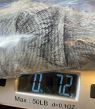 Load image into Gallery viewer, The Mountain Shirt Adult Extra Large Blue Guardian Of The North Lisa Parker Mens