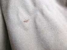 Load image into Gallery viewer, Bernard Zins Pants Womens 28x26 Kashmir & Wool Cashmere Pleated Straight Trouser