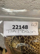 Load image into Gallery viewer, Rachel Zoe Jacket Womens Small Tan Brown Snake Skin Tunic Coat Career Blazer