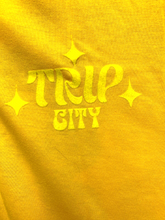 Load image into Gallery viewer, Trip City Shirt Womens Medium Flying Flame Skeleton Earthy Gothic Velvet NWT