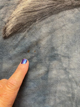 Load image into Gallery viewer, The Mountain Shirt Adult Extra Large Blue Guardian Of The North Lisa Parker Mens