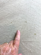 Load image into Gallery viewer, VTG Lake Arcadia Triathlon Shirt Adult Extra Large Khaki Single Stitch Frog 90s