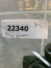 Load image into Gallery viewer, Vintage Green Bay Packers Shirt Adult 2XL Green NFL Football Athletic Polo Mens