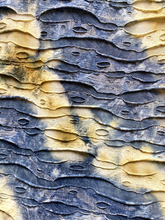 Load image into Gallery viewer, M Heart M Dress Womens Small Distressed Bodycon Earthy Short Sleeveless Ladies