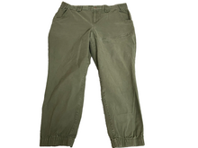 Load image into Gallery viewer, Duluth Pants Womens 16 (33x24) Utility Cropped Zip Pocket Outdoor Spandex Lady