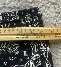 Load image into Gallery viewer, Cactus Man Ricky Singh Shorts Adult Large (35x7.5) Black AOP Paisley Bandana Men