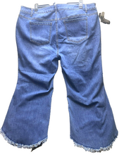 Load image into Gallery viewer, Alivia Ford Jeans Womens 24W Whiskered Rayon Spandex Fringe Hem Asymmetric Plus
