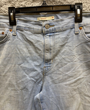 Load image into Gallery viewer, Levis Jeans Womens Extra Large (40X27) Light Wash Straight Cut Workwear Ladies