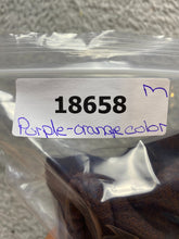 Load image into Gallery viewer, VTG Atlantic City Sweater Adult Medium New Jersey 1/2 Zip Fleece Dolphins Mens