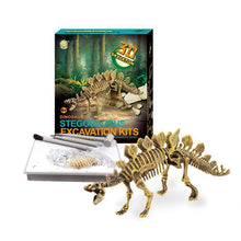 Load image into Gallery viewer, Dinosaur Skeleton Fossil Excavation Kit (Stegosaurus)  (available for purchase in increments of 1)