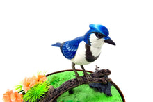 Load image into Gallery viewer, Singing & Chirping Bird In Cage - Realistic Sounds & Movements (Blue)