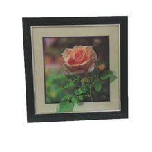 Load image into Gallery viewer, 436 Rose 5d Lenticular Picture Frame 18x18  (MINIMUM OF 4)
