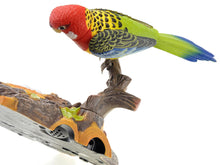 Load image into Gallery viewer, Chirping & Dancing Bird With Motion Sensor  (available for purchase in increments of 1)