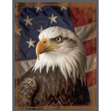 Load image into Gallery viewer, Metal sign print American Eagle Picture size 15x19 (minimum of 10)