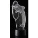 Load image into Gallery viewer, 3D Dolphin Laser Cut Precision LED Lights