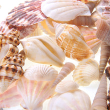 Load image into Gallery viewer, Mixed Beach Sea Shells For Decoration (Bag Of 100 Shells)  (available for purchase in increments of 1)