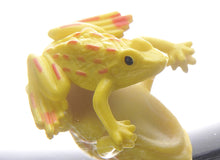 Load image into Gallery viewer, 6" 3-D Mirascope