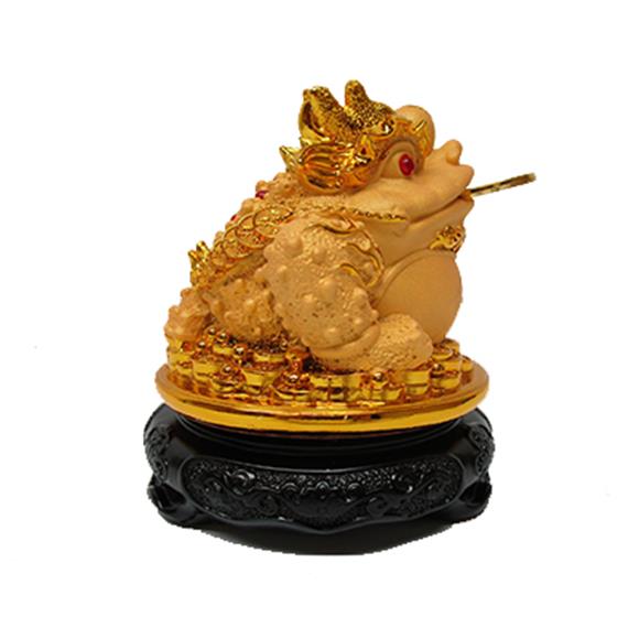 GOLD MONEY TOAD ON COINS