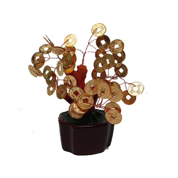 GOLD COIN TREE