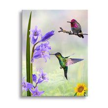 Load image into Gallery viewer, Hummingi bird ultra-High Definition Canvases print(Minimum of 4)
