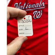 Load image into Gallery viewer, Washington Nationals Jersey Boys Large MLB Baseball Spell Out Athleisure
