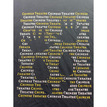 Load image into Gallery viewer, Hollywood Chinese Theatre Shirt Mens Large Black Vacation Everyday Streetwear
