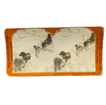 Load image into Gallery viewer, VTG Stereoview Photo Card Will Campbell Sled Dogs Boy Allenkaket River Alaska

