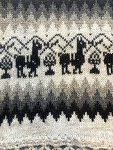 Load image into Gallery viewer, Inca Land Scarf Tasseled Headwrap Alpaca Lana Wool Scarves Fringe 27"x76"
