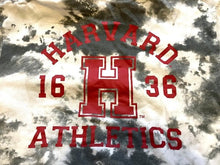 Load image into Gallery viewer, Harvard Sweatshirt Mens Extra Small Gray Buckhorn Camo Hoodie Camo Full Zip
