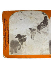 Load image into Gallery viewer, VTG Stereoview Photo Card Will Campbell Sled Dogs Boy Allenkaket River Alaska

