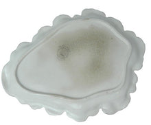 Load image into Gallery viewer, Antique Devon Roses Hand Painted Porcelain Trinket Tray Cheese Plate Stamped
