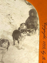 Load image into Gallery viewer, VTG Stereoview Photo Card Will Campbell Sled Dogs Boy Allenkaket River Alaska
