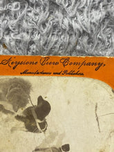 Load image into Gallery viewer, VTG Stereoview Photo Card Will Campbell Sled Dogs Boy Allenkaket River Alaska
